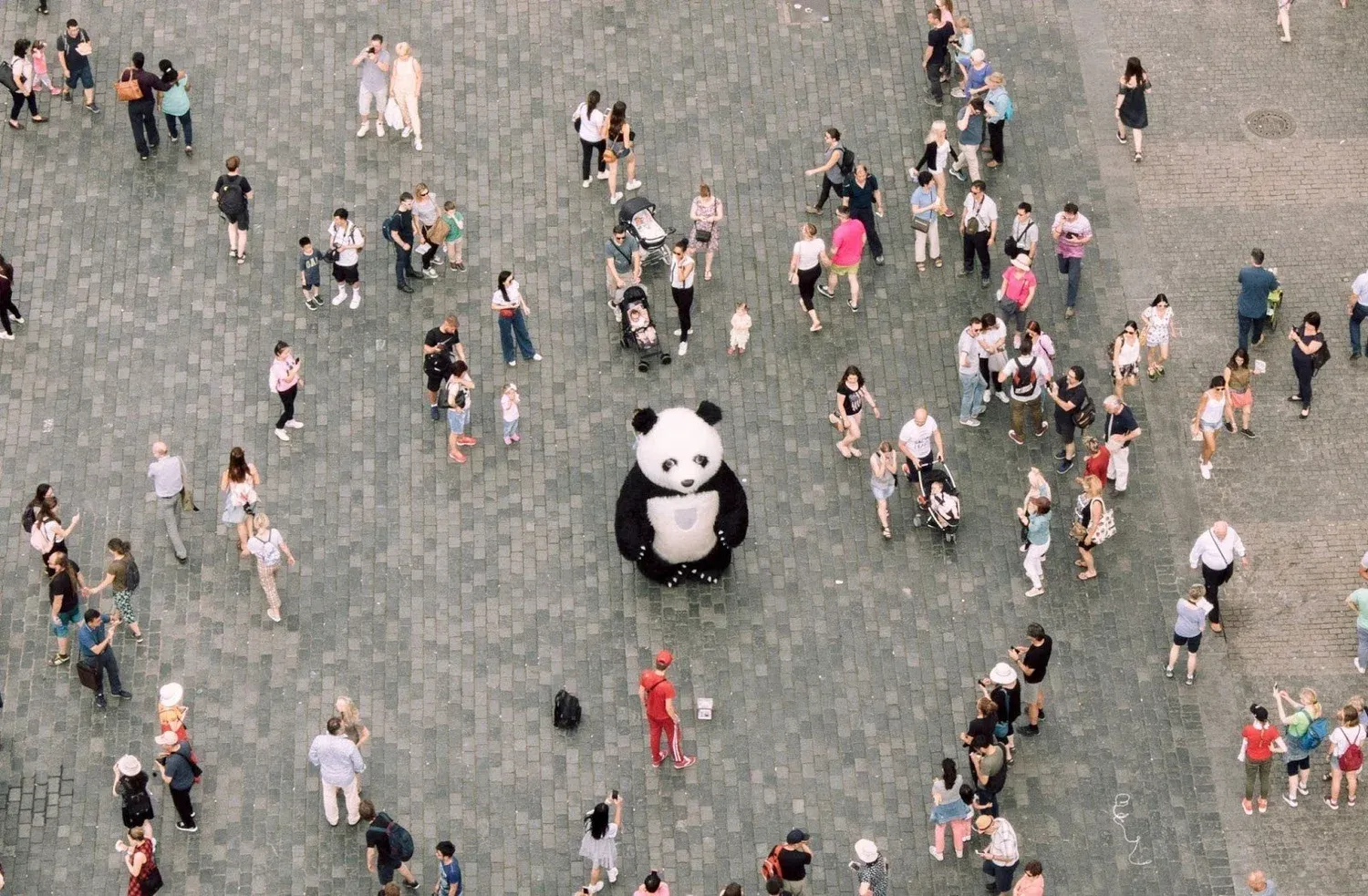 Overhead view of a crowded plaza with a person in a panda costume standing out