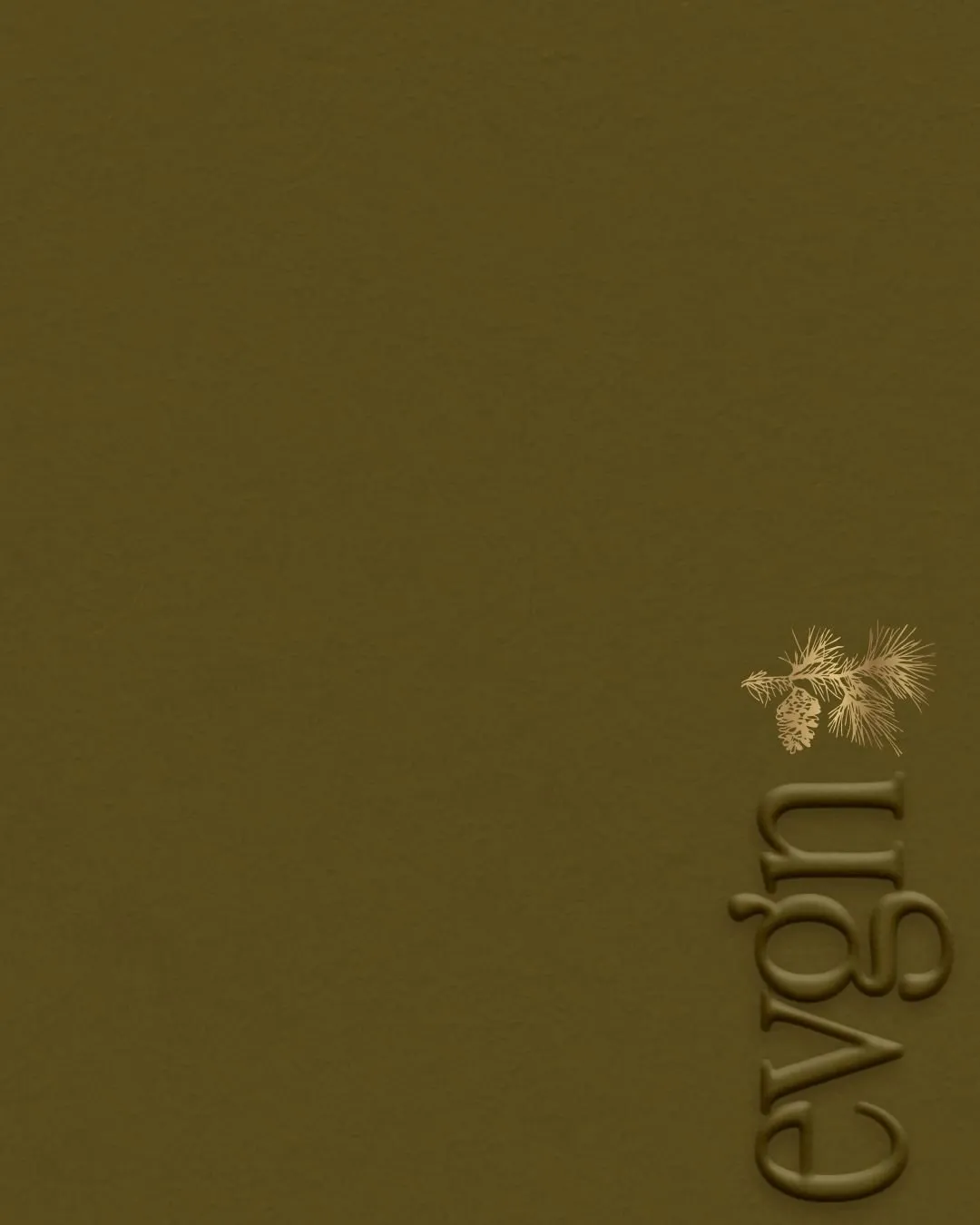 Close-up of a gold surface with the embossed EVGN logo